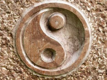 会員に向いている人、向いていない人